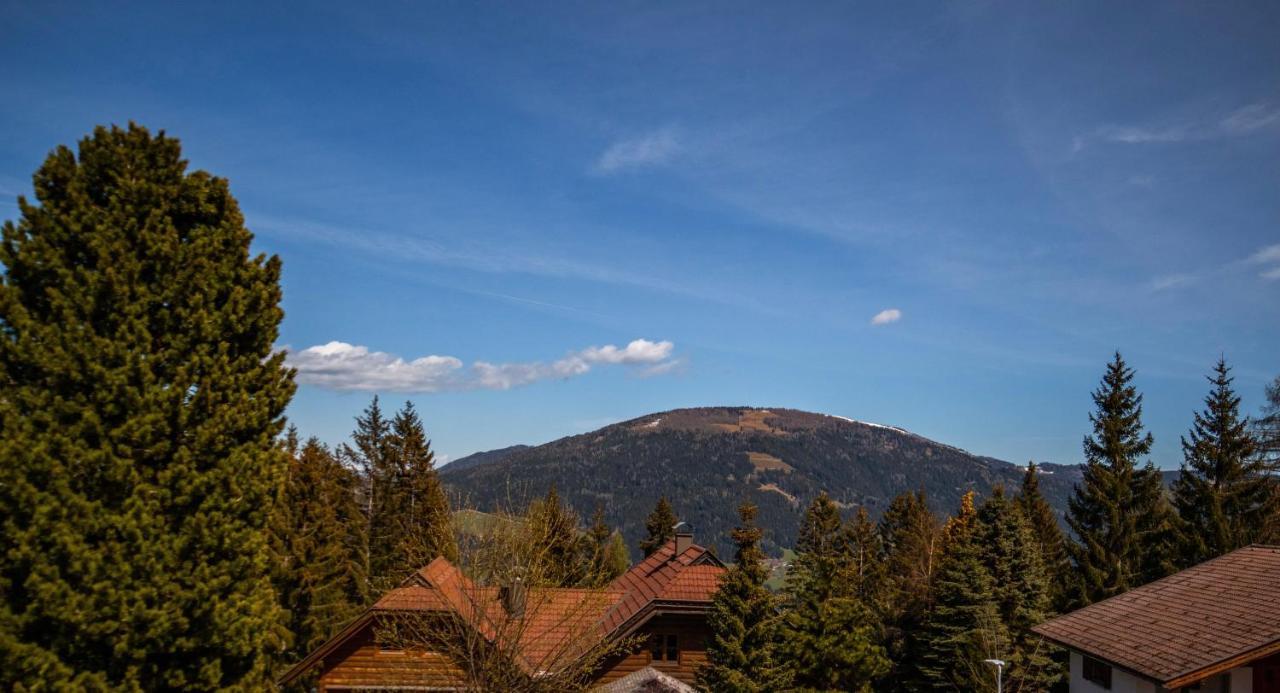 Вилла Almhaus Frierss Verditz Экстерьер фото